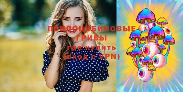 гашик Алексеевка