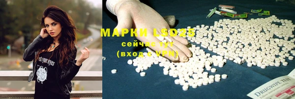 гашик Алексеевка