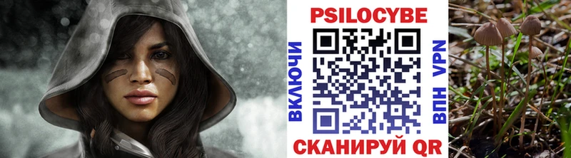 Псилоцибиновые грибы Psilocybe  Дудинка 